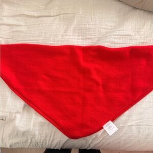 Aritzia 100% Cashmere Small Triangle Red Scarf